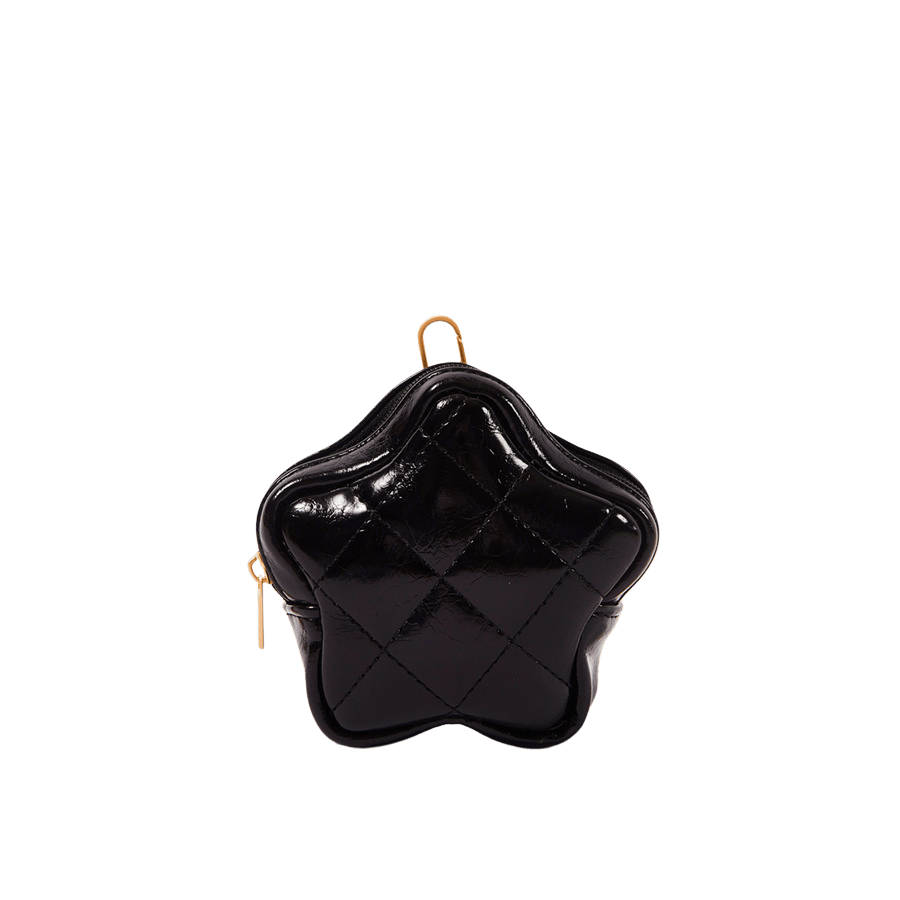 Quilting star bag with dog clips to attached on other bag