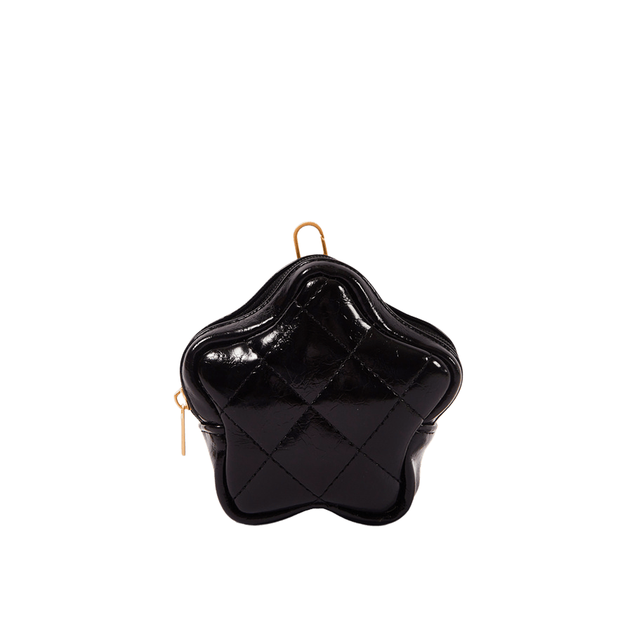 Quilting star bag with dog clips to attached on other bag